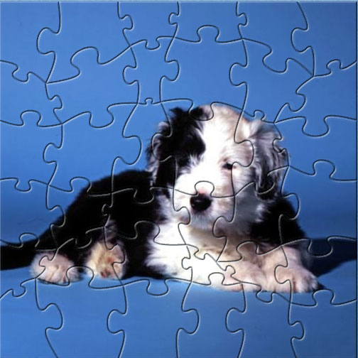 Black white dog puzzle