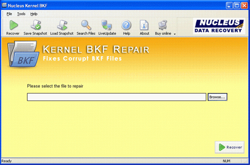 Recover BKF